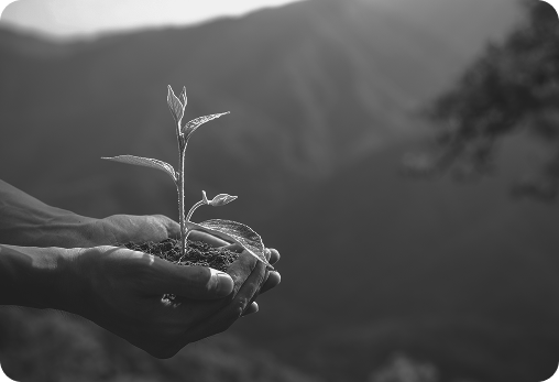 Sustainable transformation